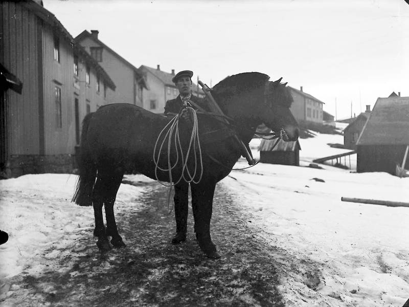 Man and a horse 1910 — 1915